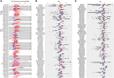 Molecular and Clinical Characterization of CCT2 Expression and Prognosis via Large-Scale <mark class="highlighted">Transcriptome Profile</mark> of Breast Cancer
